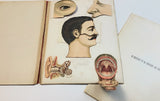 c.1890 Dutch Anatomy Book with Moveable , The Brain and the Senses of Man