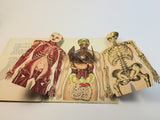 1915 Dutch Anatomy Book with Moveable Models, The human body