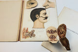 c.1890 Dutch Anatomy Book with Moveable , The Brain and the Senses of Man