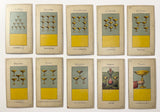 c.1890 Grand Etteilla Grimaud 78 Cards w/ box & booklet