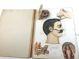 c.1890 Dutch Anatomy Book with Moveable , The Brain and the Senses of Man