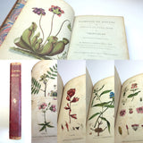 1804 1st UK Edition Elements of Botany by Barton