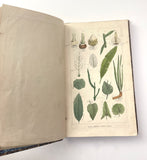 1862 Traité des Plantes Médicinales Indigènes Précédé d'un Cours de Botanique, Antonin Bossu