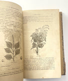 1862 Traité des Plantes Médicinales Indigènes Précédé d'un Cours de Botanique, Antonin Bossu