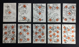 c.1820 Old Transformation Playing Cards 52/52