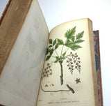 1804 1st UK Edition Elements of Botany by Barton