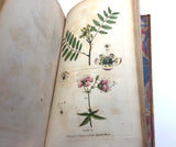 1804 1st UK Edition Elements of Botany by Barton