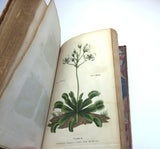 1804 1st UK Edition Elements of Botany by Barton