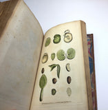 1804 1st UK Edition Elements of Botany by Barton