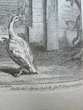 1700s Fables by Mr. Gay, 2 Volume, Engravings