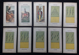 c.1890 Grimaud Grand Etteilla 77/78 cards
