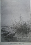 1874 Meridiana: The Adventures of Three Englishmen and Three Russians in South Africa, Jules Verne