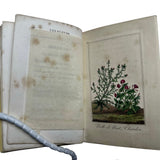 1817 Les Fleurs, Idylles by Dubos