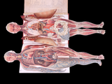 c.1900 Livre d'Or de la Santé [Anatomy/Medicine] 3 Volume Set
