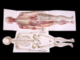 c.1900 Livre d'Or de la Santé [Anatomy/Medicine] 3 Volume Set