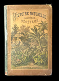 c.1870 Histoire Naturelle Illustrée Végétaux