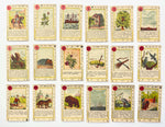 c.1885 Mlle. Lenormand Fortune-Telling Cards