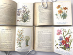 1929-36 Les Fleurs de Jardins, A. Guillaumin, Four Volumes