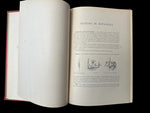 C.1890(?) Nos fleurs, plantes utiles et nuisibles, by Sablon