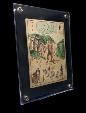 Descriptive image text