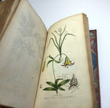 1804 1st UK Edition Elements of Botany by Barton