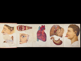 c.1900 Livre d'Or de la Santé [Anatomy/Medicine] 3 Volume Set