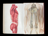 c.1900 Livre d'Or de la Santé [Anatomy/Medicine] 3 Volume Set