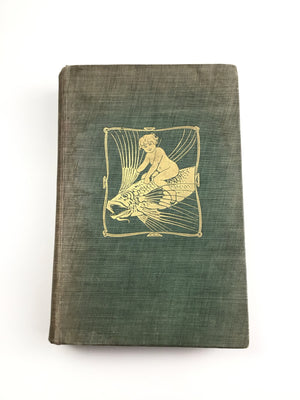 Descriptive image text