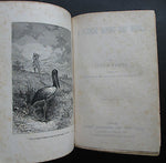 1885 Jules Verne A VOYAGE ROUND THE WORLD Illustrated 1st edition 3 Volumes in 1