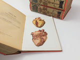 c.1900 Livre d'Or de la Santé [Anatomy/Medicine]